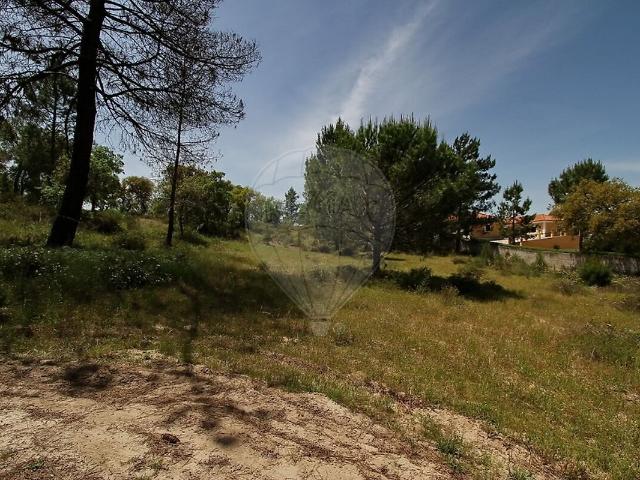 Terreno venda em Santo Estêvão, Benavente