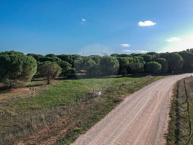 Terreno venda em Santo Estêvão, Benavente