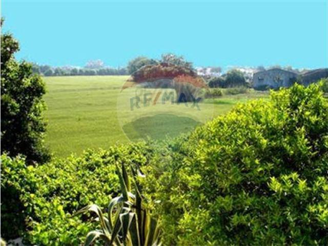 Terreno venda em Santo Estêvão, Benavente