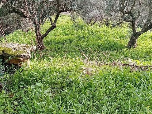 Terreno venda em Santo Estêvão, Santo Estêvão e Moita