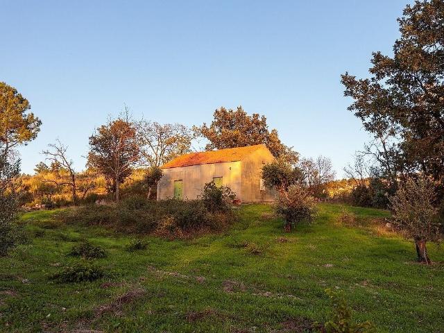Terreno venda em Moita, Santo Estêvão e Moita