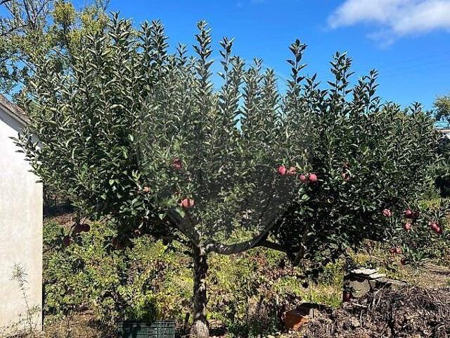 Terreno venda em Santo Isidoro, Mafra