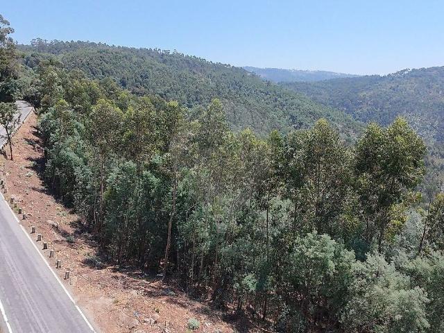 Terreno venda em Monte Córdova, Santo Tirso