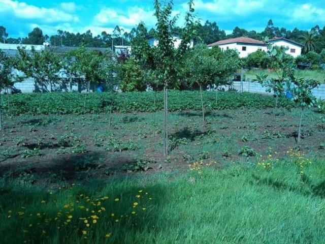 Terreno venda em Santo Tirso, Porto