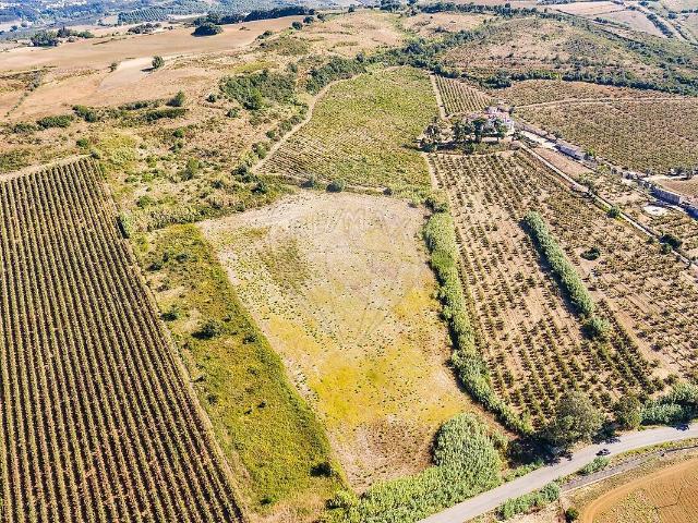 Terreno venda em Sapataria, Sobral de Monte Agraço