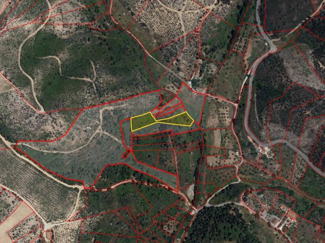Terreno venda em Sardoal, Santarém