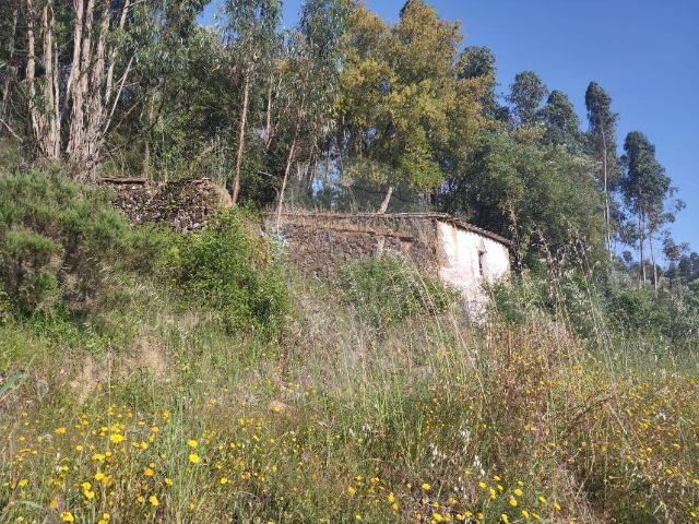 Terreno venda em Sardoal, Santarém