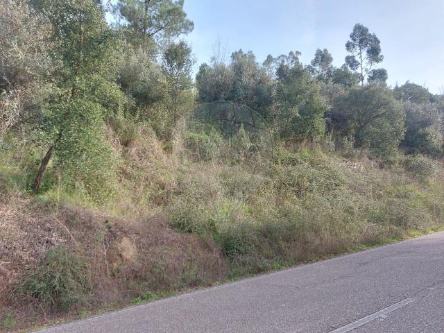 Terreno venda em Sardoal, Santarém