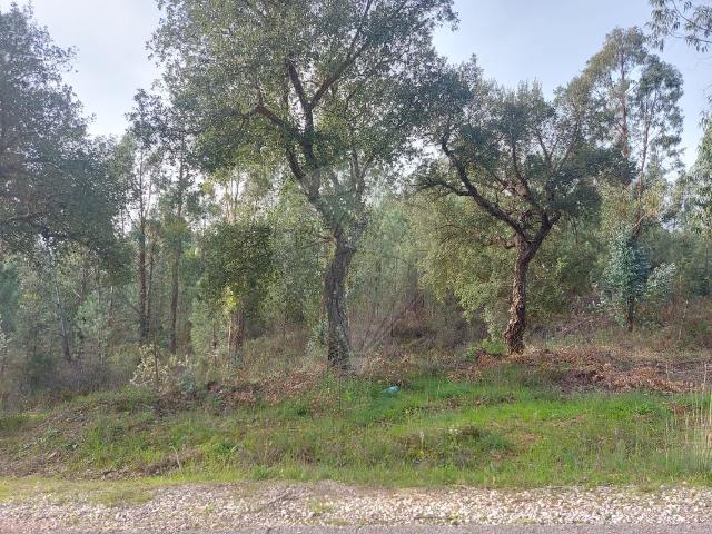 Terreno venda em Sardoal, Santarém