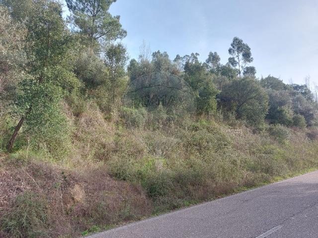 Terreno venda em Sardoal, Santarém