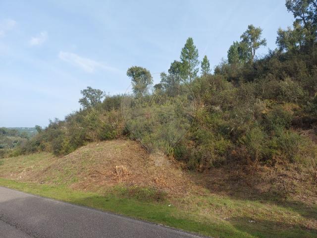 Terreno venda em Sardoal, Santarém