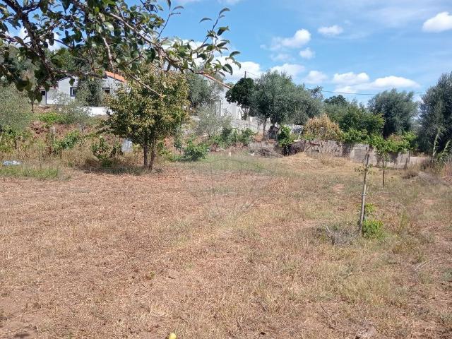 Terreno venda em Sardoal
