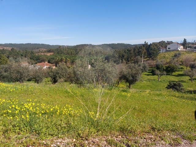 Terreno venda em Cabeça Das Mós, Sardoal