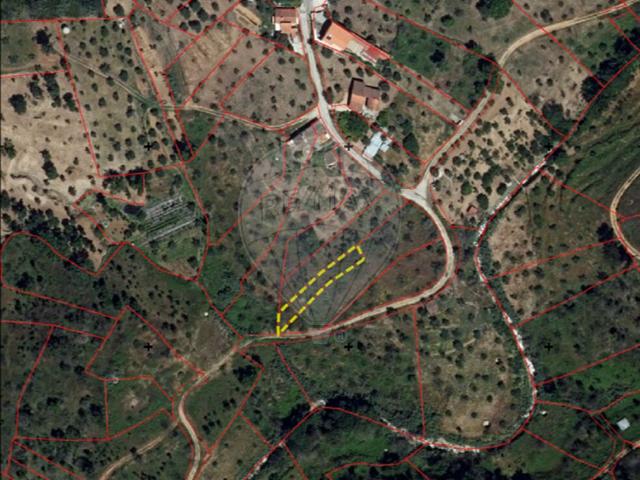 Terreno venda em Sardoal, Santarém