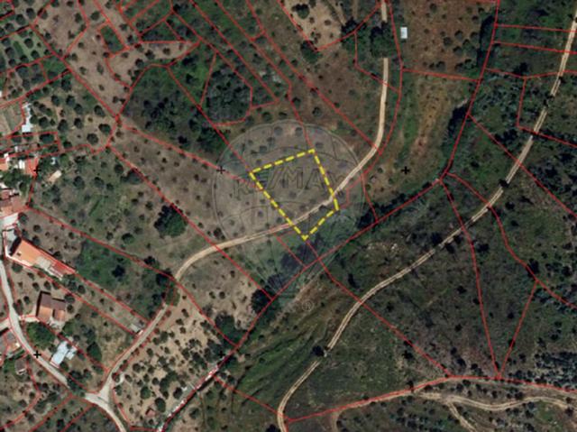Terreno venda em Sardoal, Santarém