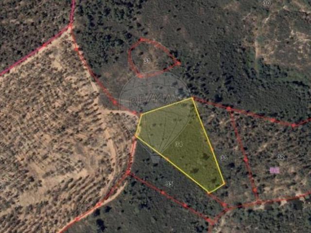 Terreno venda em Sarnadas de Ródão, Vila Velha de Ródão