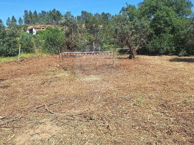 Terreno venda em Sarzedas, Castelo Branco