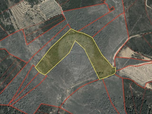 Terreno venda em Sarzedas, Castelo Branco