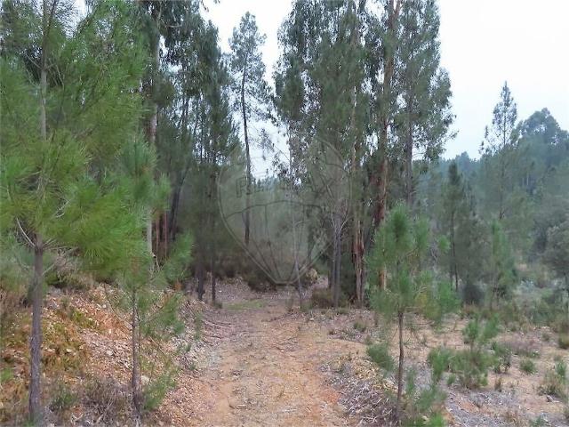 Terreno venda em Sarzedas, Castelo Branco
