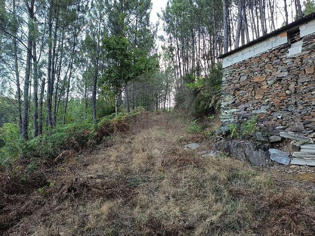 Terreno venda em Sazes da Beira, Seia