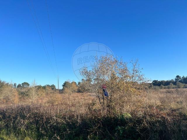 Terreno venda em Sebal e Belide, Condeixa-a-Nova