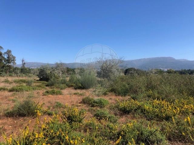 Terreno venda em Guarda, Seia