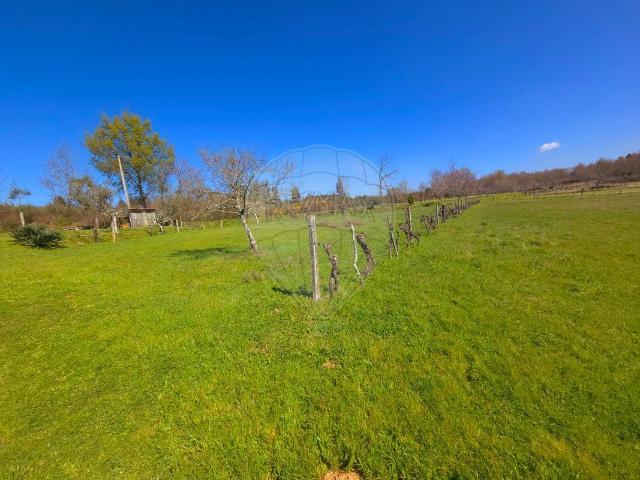Terreno venda em Guarda, Seia