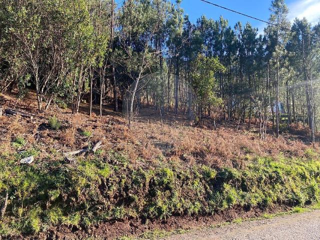 Terreno venda em Guarda, Seia