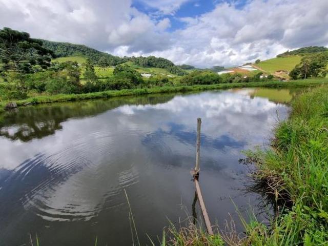 Terreno venda em Região Geográfica Imediata de Pouso Alegre, Senador Amaral