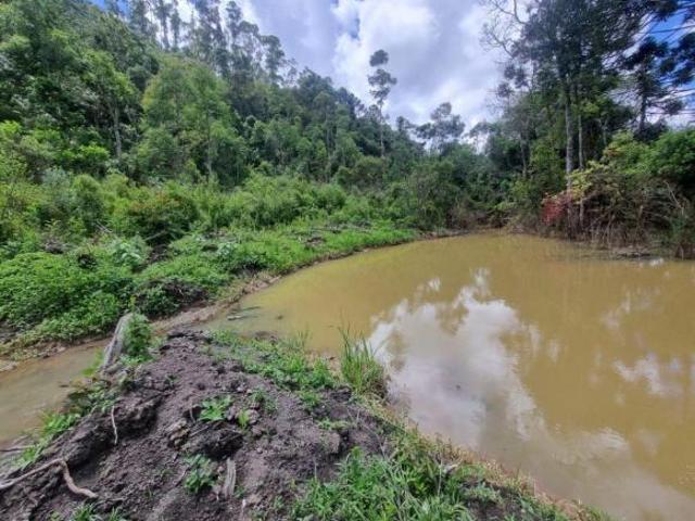 Terreno venda em Região Geográfica Imediata de Pouso Alegre, Senador Amaral