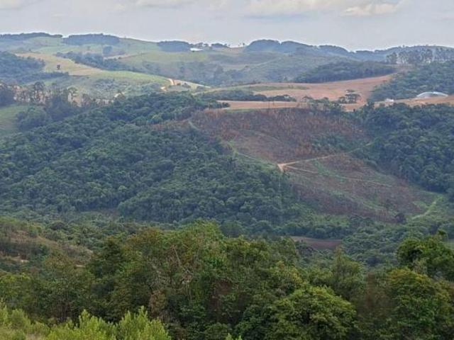 Terreno venda em Região Geográfica Imediata de Pouso Alegre, Senador Amaral
