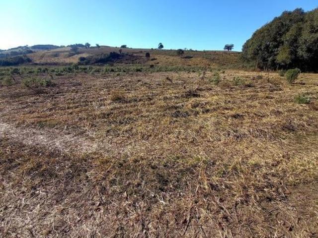 Terreno venda em Região Geográfica Imediata de Pouso Alegre, Senador Amaral