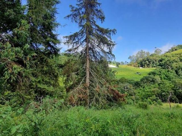 Terreno venda em Região Geográfica Imediata de Pouso Alegre, Senador Amaral