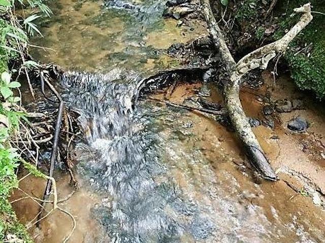 Terreno venda em Região Geográfica Imediata de Pouso Alegre, Senador Amaral