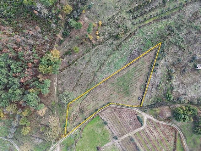 Terreno venda em Senhorim, Nelas