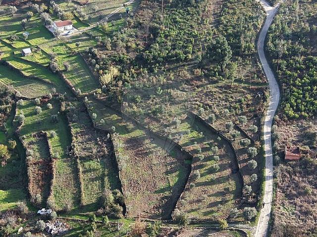 Terreno venda em Senhorim, Nelas