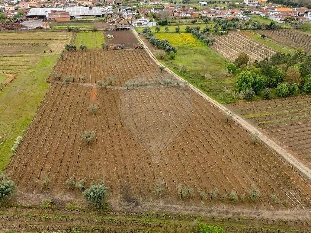 Terreno venda em Sepins e Bolho, Cantanhede