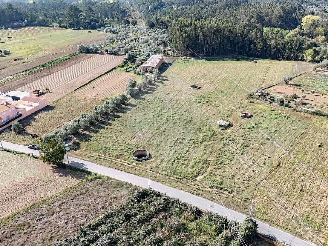 Terreno venda em Sepins e Bolho, Cantanhede