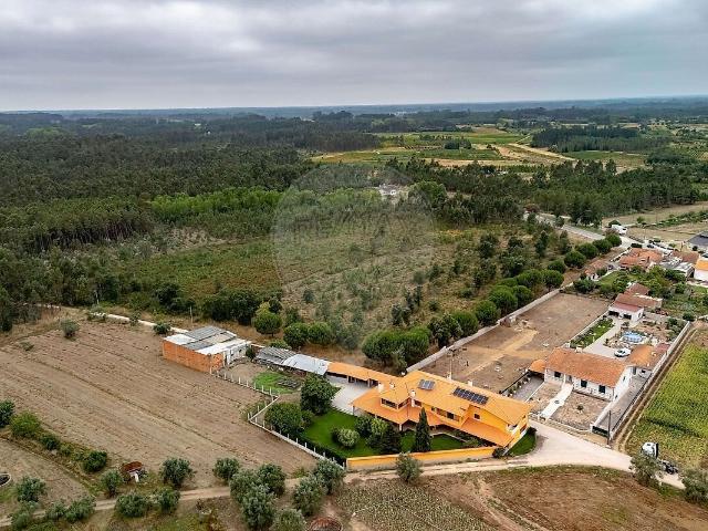 Terreno venda em Sepins e Bolho, Cantanhede