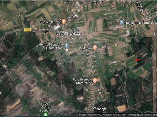 Terreno venda em Sepins e Bolho, Cantanhede