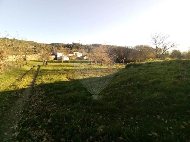 Terreno venda em Tabosa da Cunha, Cunha