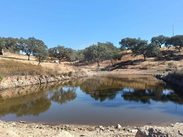 Terreno venda em Vila Verde de Ficalho, Serpa