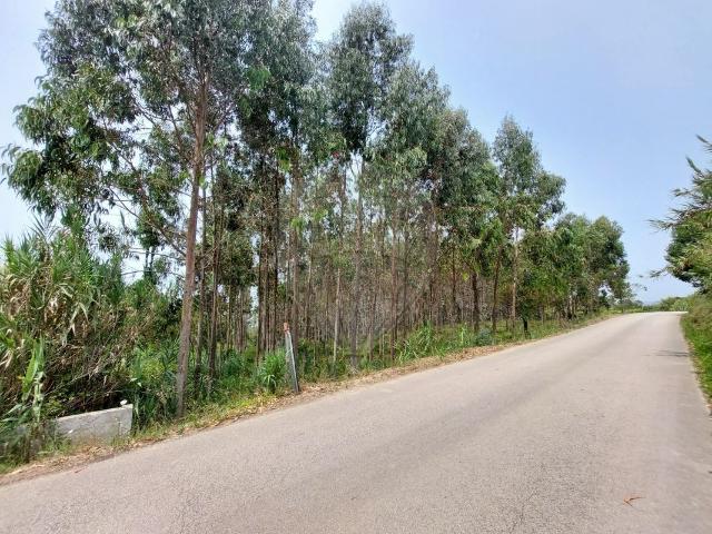 Terreno venda em Pederneira, Famalicão