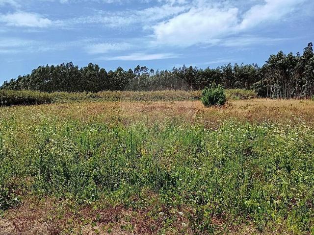 Terreno venda em Atouguia da Baleia, Peniche