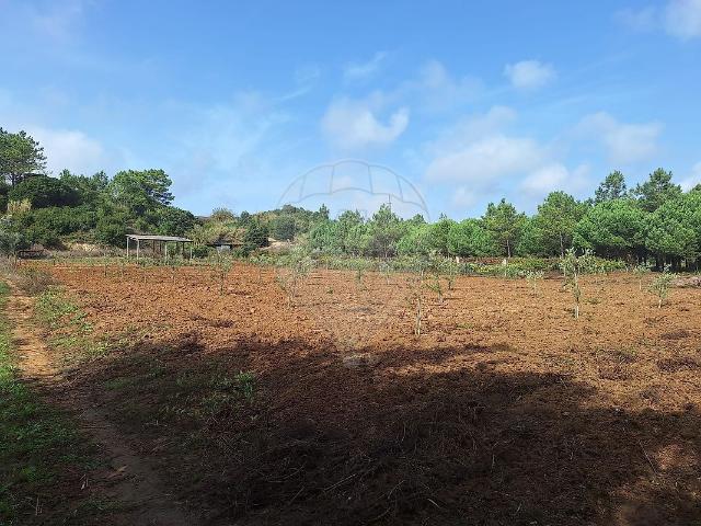 Terreno venda em Serra d'El-Rei, Peniche