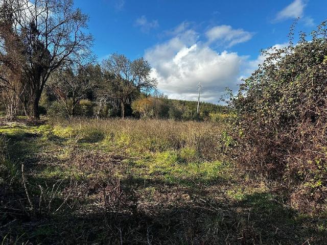 Terreno venda em Junceira, Tomar