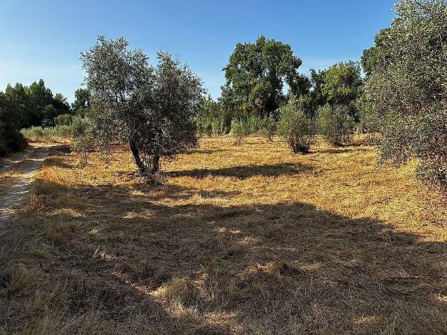 Terreno venda em Junceira, Tomar