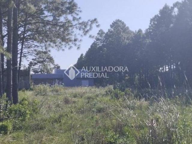 Terreno venda em Osório
