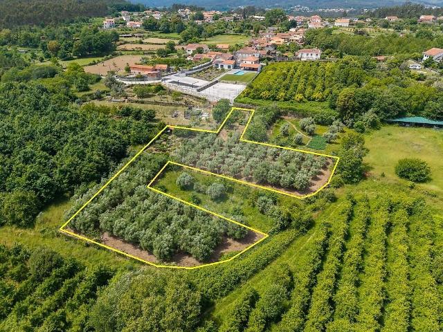 Terreno venda em Serrazes, São Pedro do Sul