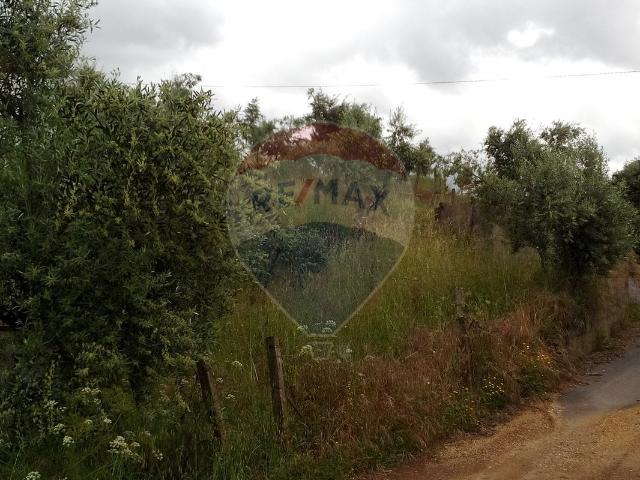 Terreno venda em Castelo Branco, Cumeada